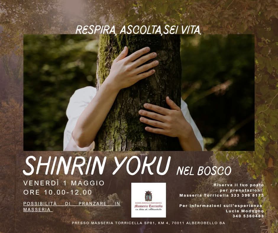 Shinrin Yoku nel Bosco
